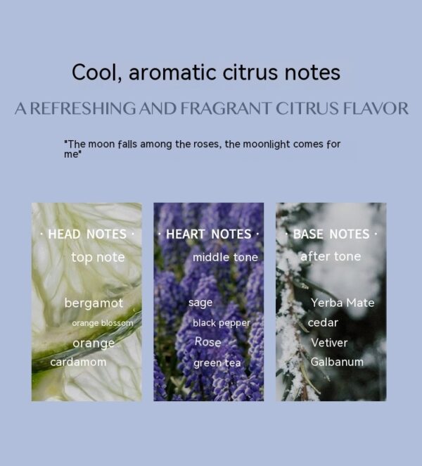 Aromatic Citrus Long-Lasting Perfume - Image 9