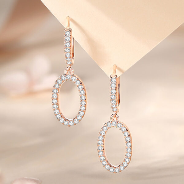 Sterling European & American Style Light Luxury Earrings