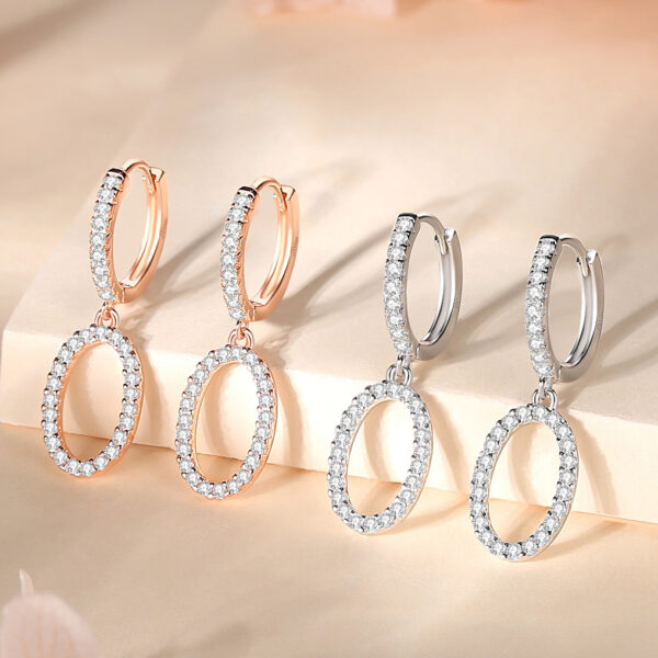 Sterling European & American Style Light Luxury Earrings - Image 3