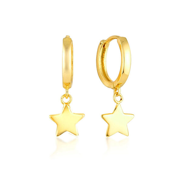 Sterling Elegant Star Earrings - Image 9